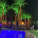 ���� ����, ������-��-����, 43 ���� - ��������� 31 ������ 2024 � ������ ���� ����������