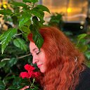 ���� ��������, �����, 38 ��� - ��������� 23 ����� 2026 � ������ ���� ����������
