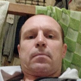 ���� �������, ������, 41 ���