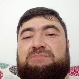 �����, �������, 40 ���