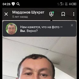 , 41, 