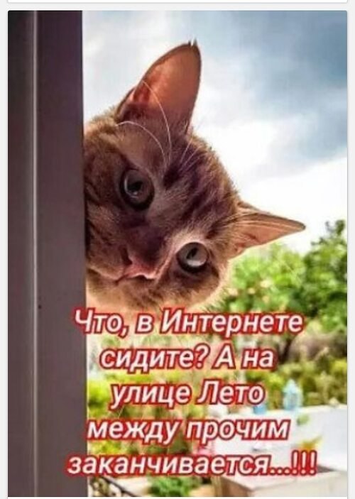   ! - 12  2025  08:50