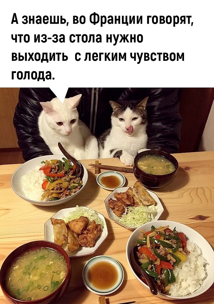 ��� ���� � ����� �� �� - 22 ������� 2025 � 13:33
