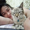 ���� ������, ������, 42 ���� - ��������� 22 ������� 2026