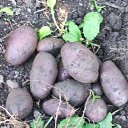 ���� ���������, ������, 70 ��� - ��������� 30 ������� 2024 � ������ ���� ����������