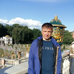 ���� �����, ������������, 47 ��� - ��������� 31 ����� 2026