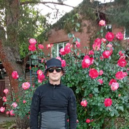 ������, ������������, 41 ���