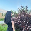 ���� ������, ������, 27 ��� - ��������� 8 ������ 2023 � ������ ���� ����������