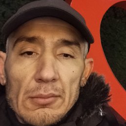 ����, ������, 40 ���