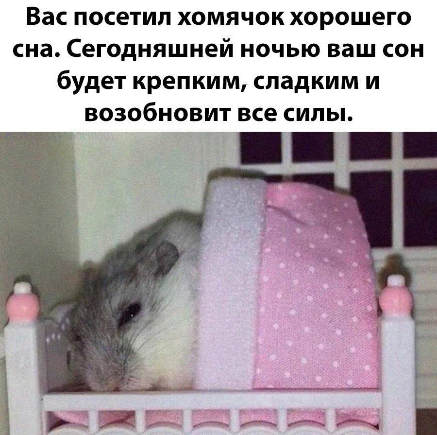 Эти забавные животные - 26 июля 2025 в 20:35