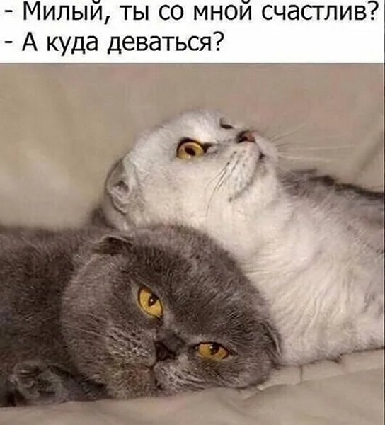 ��� ���� - 21 ��� 2026 � 16:50