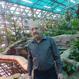 ���� �������, �������, 71 ��� - ��������� 6 ������ 2026