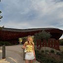 ���� ����, �����������, 26 ��� - ��������� 20 ������� 2026 � ������ ���� ����������