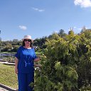 ���� ������, ������, 44 ���� - ��������� 14 ������� 2025 � ������ ���� ����������