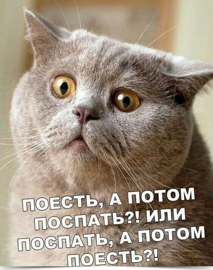 ~~~~~~~~~~~~~