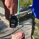 ����� ������� ���� ������ 2025 ����. �� ������� ������� ������.����� ������� :����� 2025 ���.�