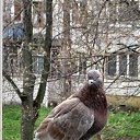 ���� �������, �������� - ��������� 12 ������ 2026 � ������ ���� ����������