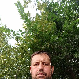 , 46 , 