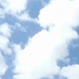 ���������, �����������, 49 ���