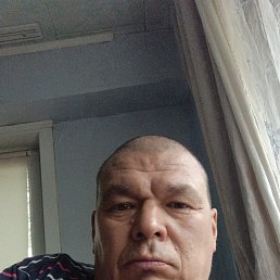 , 51, 