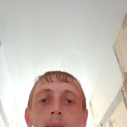, 37, 
