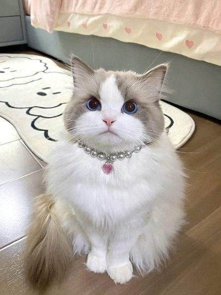 �a��e �o�e� ���� �a�o��o ���� �a�o� ����c�o� � �pac��o�? ��a �o��o �o�a�o�a��c�? - 2