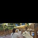 ���� ������ � ������, ������, 52 ���� - ��������� 10 ������� 2026 � ������ ���� ����������