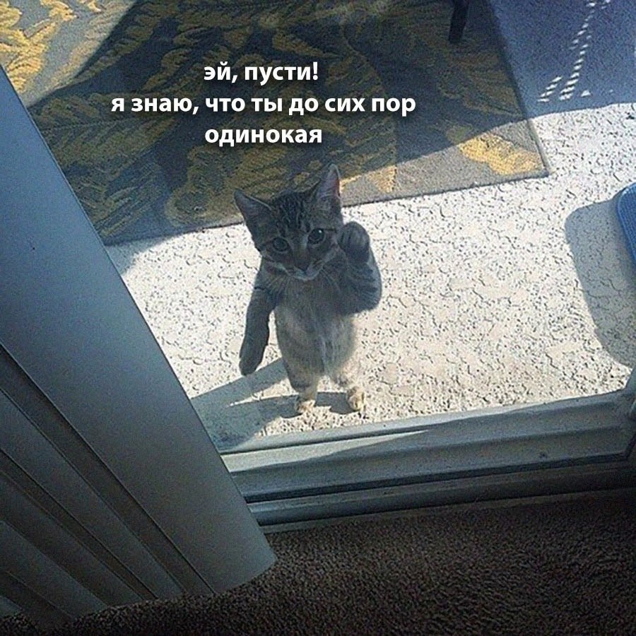    - 8  2025  00:39
