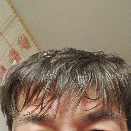 ��������, ������, 53 ����