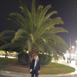 ����, ������, 61 ���