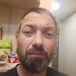 ������, ������� ��������, 45 ���