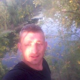 , 33, 