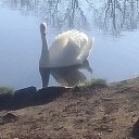 ���� ����, �����������, 51 ��� - ��������� 23 ���� 2025 � ������ ���� ����������