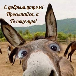 ���� ���, ������, 74 ���� - ��������� 15 ������ 2024