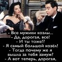 ���� ��������, ������� - ��������� 21 ������ 2026 � ������ ������ ��������