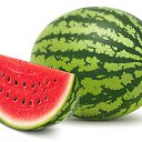 ���� �������, ������ �����, 37 ��� - ��������� 5 ������� 2024 � ������ ���� ����������