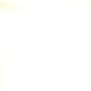 ������, 37 ���, ������