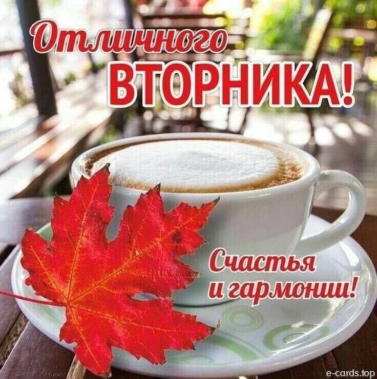 8 ...  ...  ! Ҹ    !     , ...