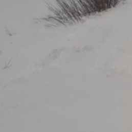 �������, ������, 60 ���