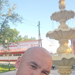 , 46, 