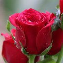 ���� �������, ���������, 45 ��� - ��������� 6 ������� 2025 � ������ ���� ����������