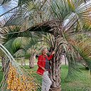 ���� �������, ����, 53 ���� - ��������� 10 ����� 2024