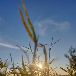 �����, �����-���������