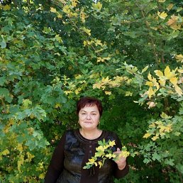 ���� �����, ������� - ��������� 20 �������� 2024