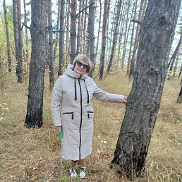 ����, ���������