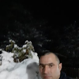 , 37, 