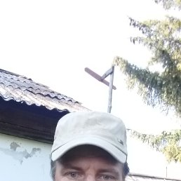 , 42, 