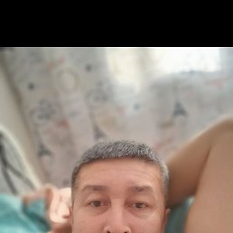 , 44, 