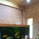 ���� ������, ������������, 49 ��� - ��������� 25 ������� 2023 � ������ ���� ����������