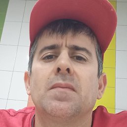 �����, ����, 36 ���